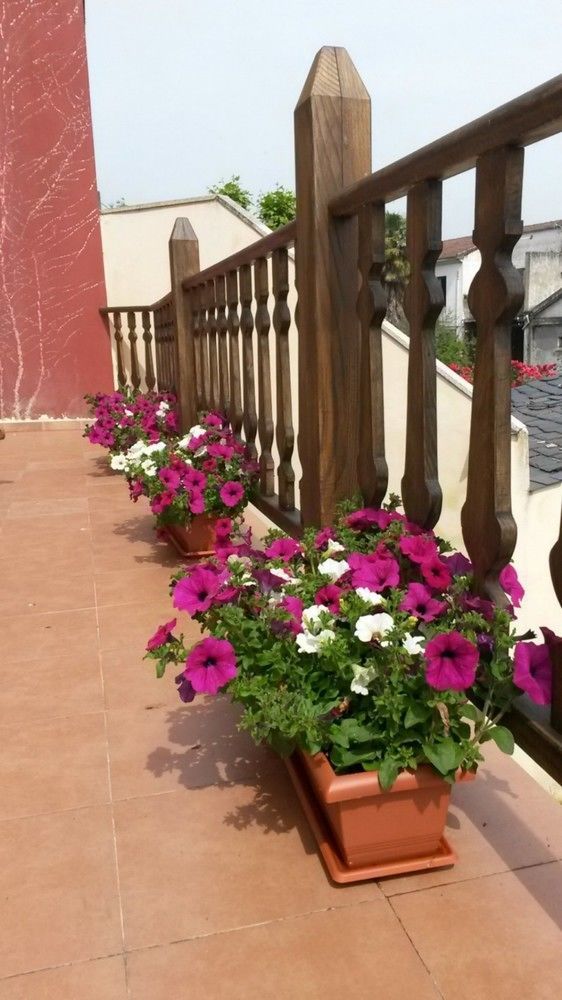 הוסטל La Casona De סאריה מראה חיצוני תמונה